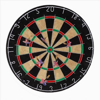 Bristle Dartboard 001