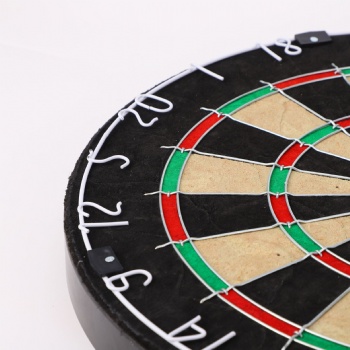 Bristle Dartboard 001
